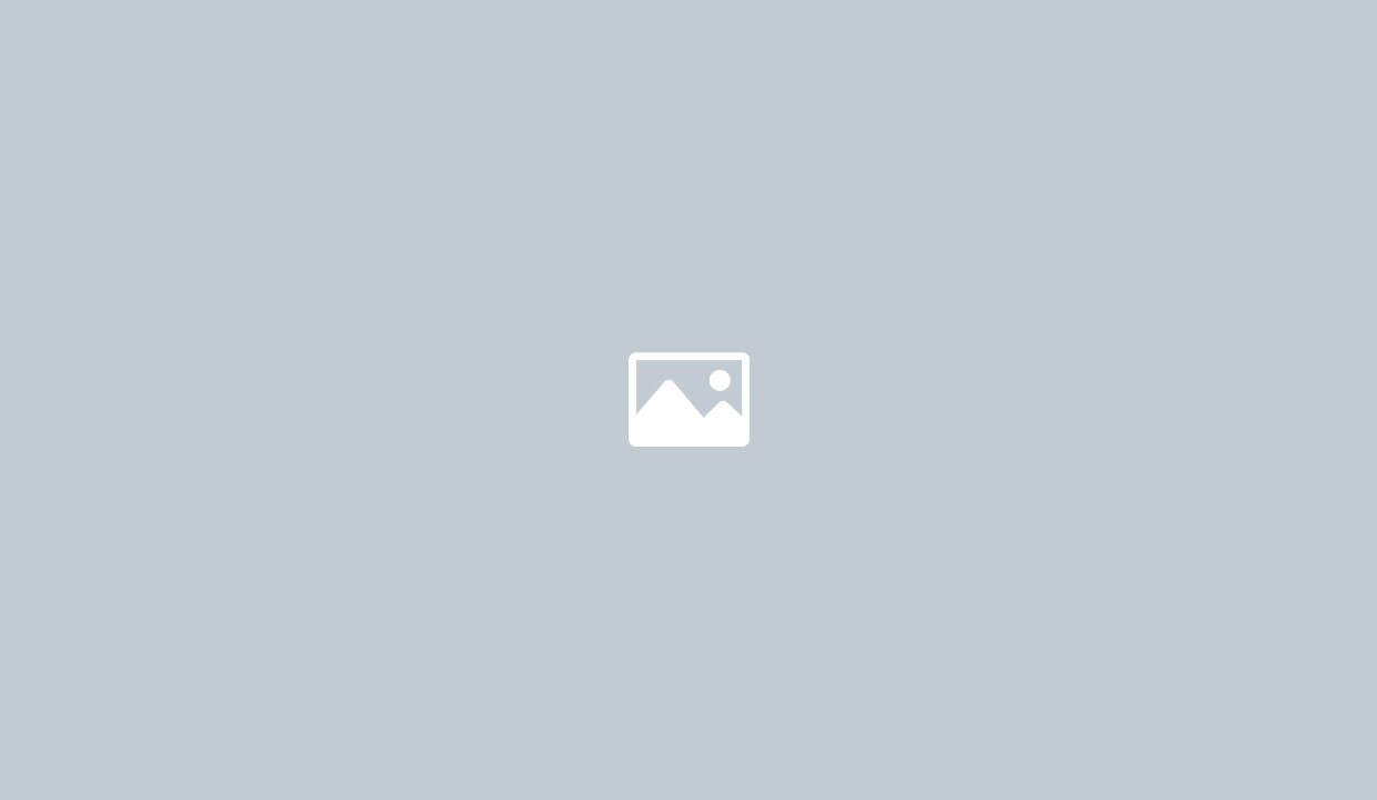 Coupon code for panda express